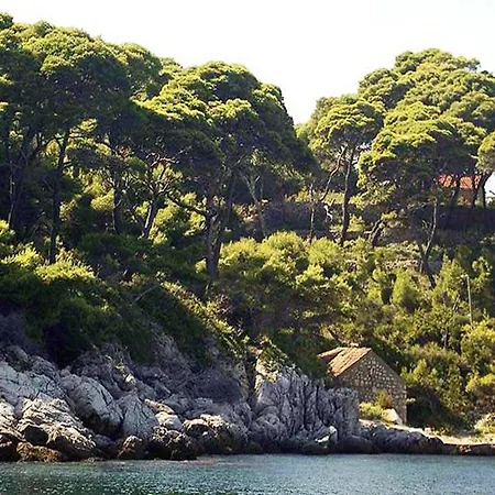 Island Horizony