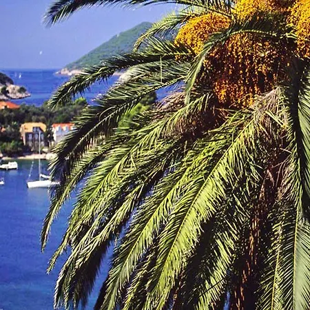 Island Horizony Apartment Dubrovnik